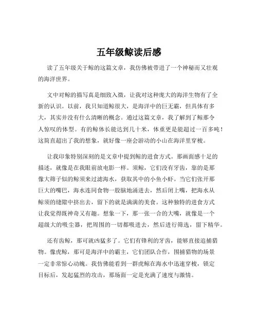 五年级鲸读后感