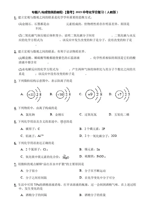 专题八 构成物质的微粒-【备考】2023中考化学总复习(人教版)
