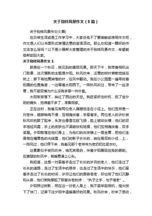 关于别样风景作文（5篇）