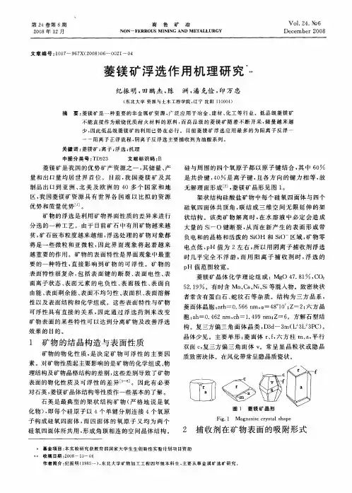 菱镁矿浮选作用机理研究