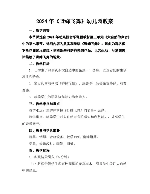 2024年《野蜂飞舞》幼儿园教案