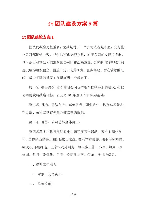 it团队建设方案5篇