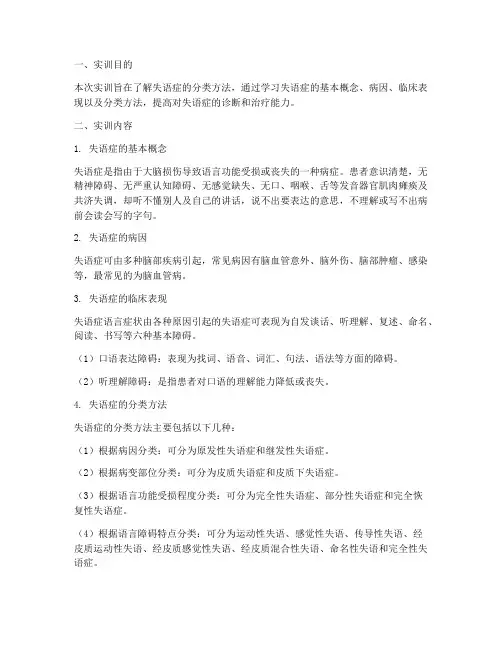 失语症分类方法实训报告