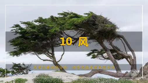 风(课件)高考地理真题案例分析与命题考点掌握