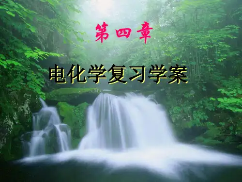 化学选修四《电化学复习》PPT课件
