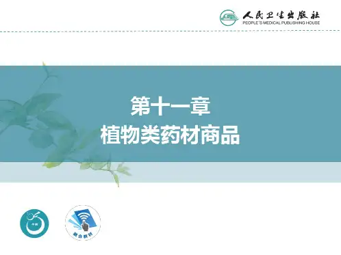 中药材商品学PPT课件 第十一章 植物类药材商品 山药 课件