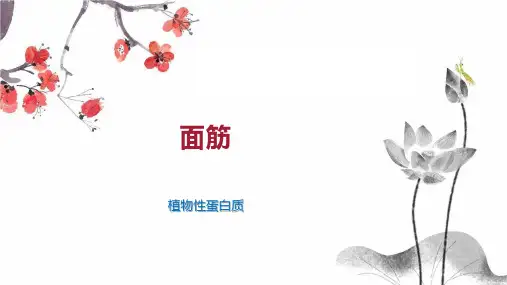 面筋    