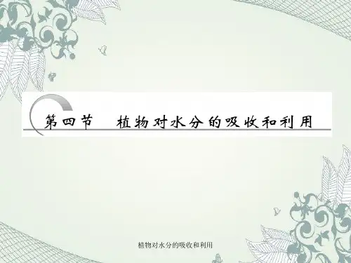 植物对水分的吸收和利用