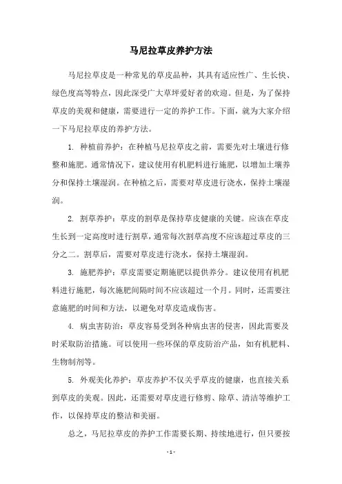 马尼拉草皮养护方法