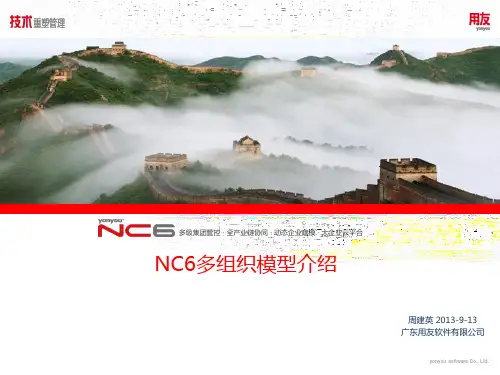 用友NC6多组织模型介绍