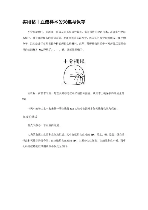 血液样本的采集与保存