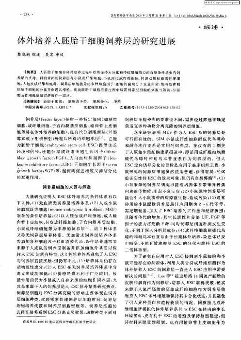 体外培养人胚胎干细胞饲养层的研究进展