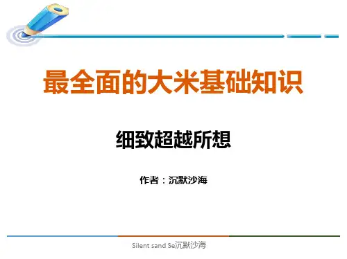 最新大米基础知识培训