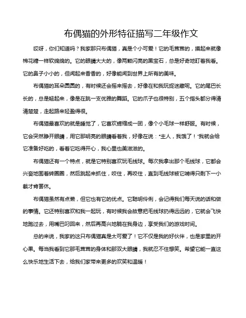 布偶猫的外形特征描写二年级作文
