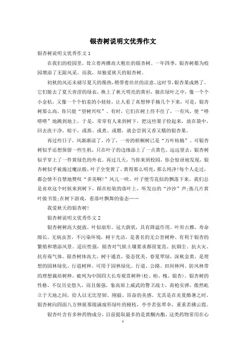 银杏树说明文优秀作文