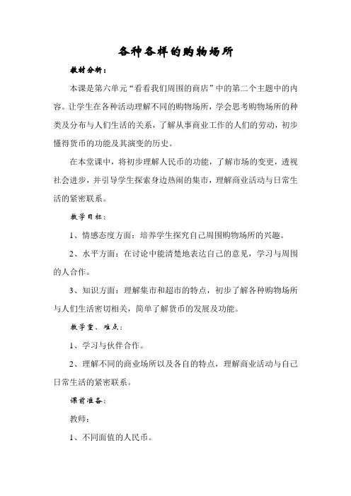 各种各样的购物场所(教案)