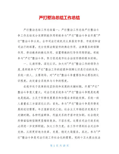 严打整治总结工作总结