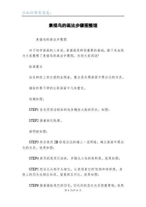 素描鸟的画法步骤图整理