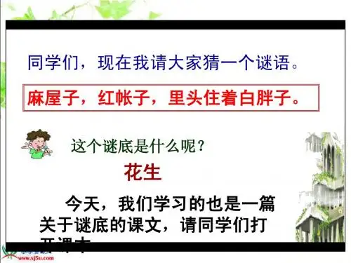 17课《山谷中的谜底》优质课件