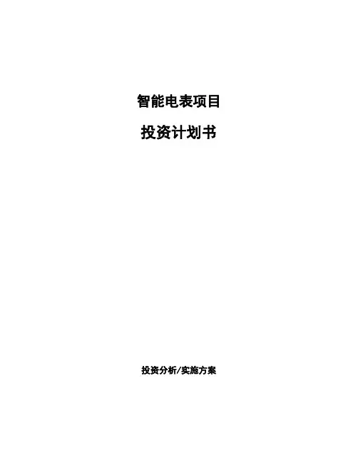 智能电表项目投资计划书
