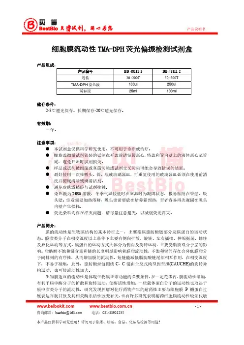 细胞膜流动性的荧光检测方法