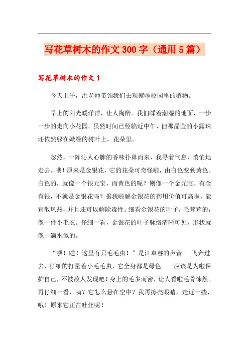 写花草树木的作文300字(通用5篇)