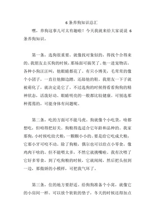 6条养狗知识总汇
