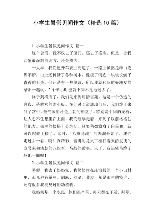 小学生暑假见闻作文(精选10篇)