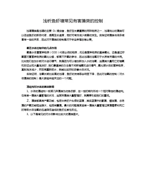 鱼虾塘有害藻的危害和控制