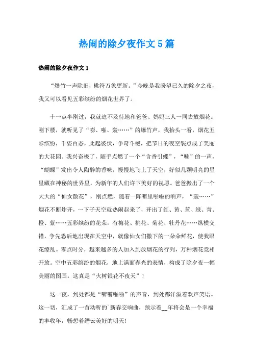 热闹的除夕夜作文5篇