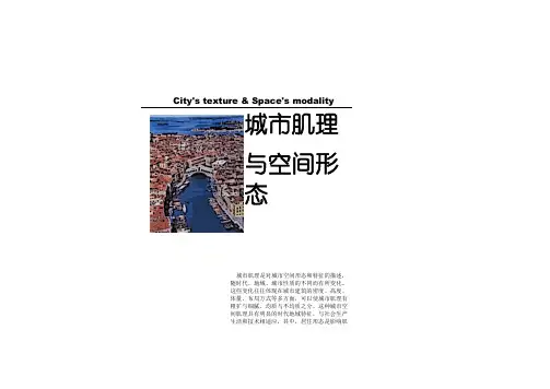 城市肌理