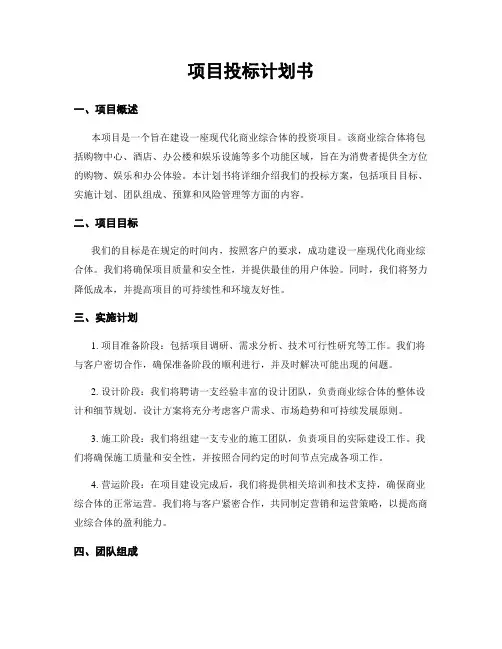 项目投标计划书