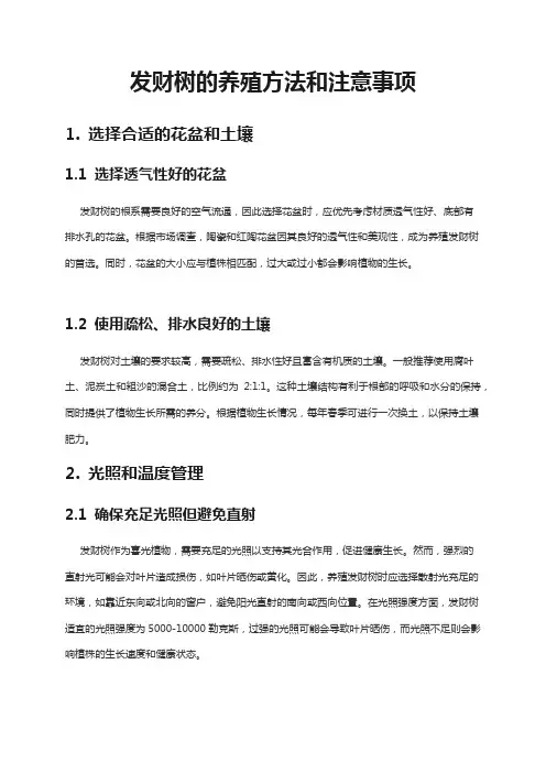 发财树的养殖方法和注意事项