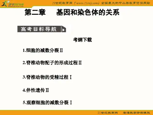 2011届高考生物一轮复习精品资料：基因和染色体的关系