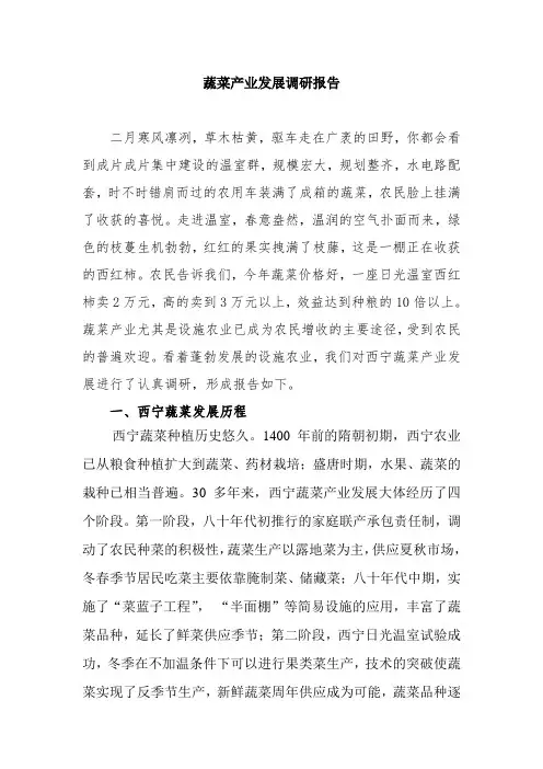 蔬菜产业发展调研报告