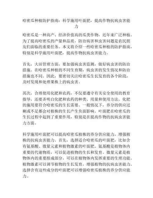 哈密瓜种植防护指南：科学施用叶面肥,提高作物抗病虫害能力
