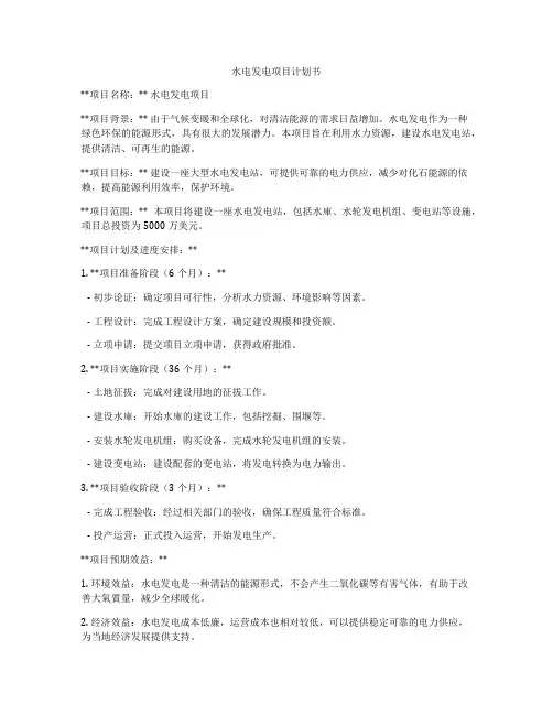 水电发电项目计划书