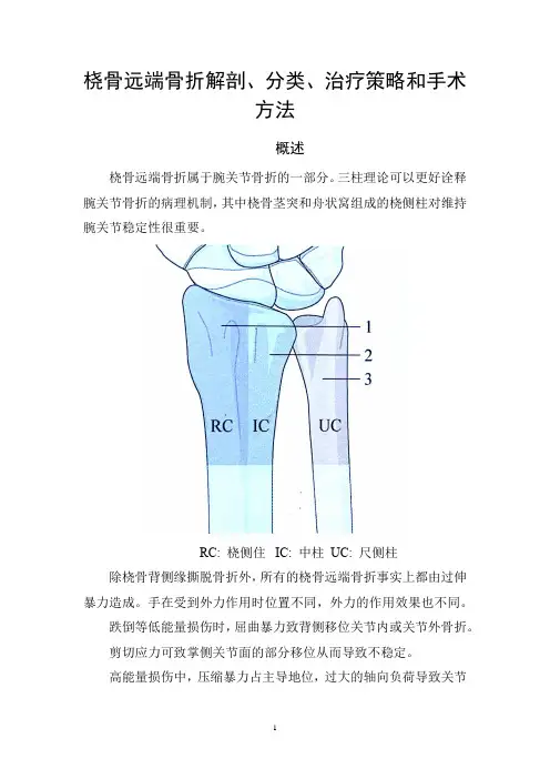 桡骨远端骨折解剖、分类、治疗策略和手术方法