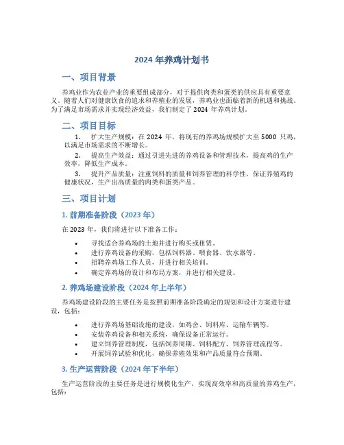 2024年养鸡计划书