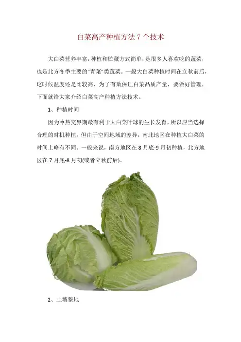 白菜高产种植方法7个技术