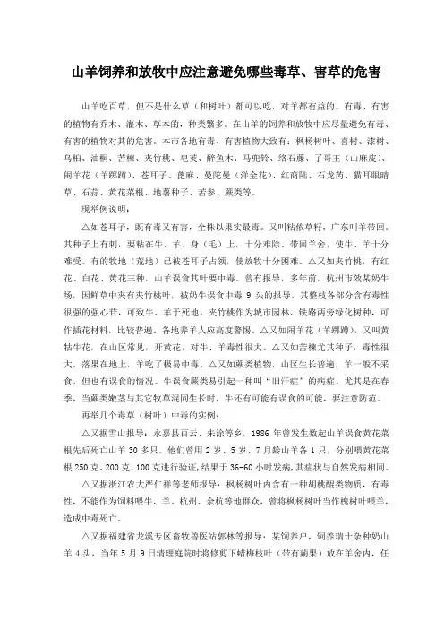 山羊饲养和放牧中应注意避免哪些毒草