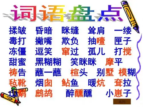 《凡卡》PPT课件