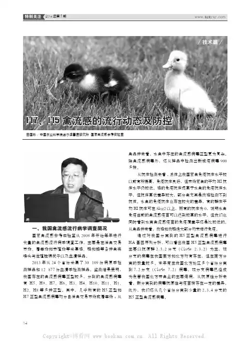 H7、H5禽流感的流行动态及防控