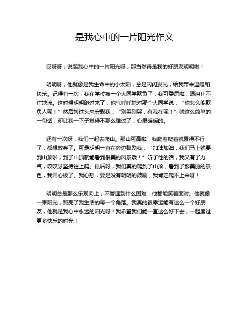 是我心中的一片阳光作文