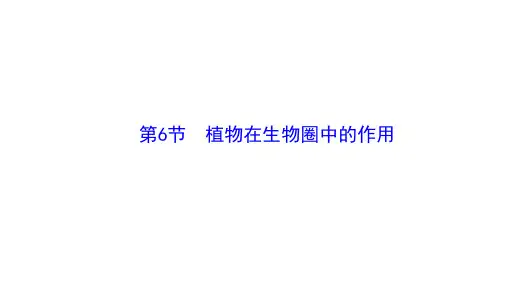 植物在生物圈中的作用课件(共38张PPT)生物北师版七年级上册