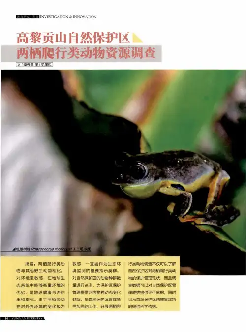 高黎贡山自然保护区两栖爬行类动物资源调查