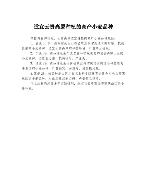 适宜云贵高原种植的高产小麦品种