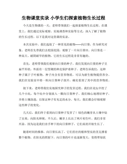 生物课堂实录 小学生们探索植物生长过程