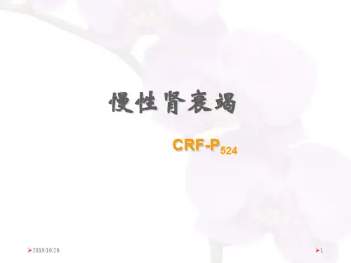 慢性肾衰竭 PPT课件