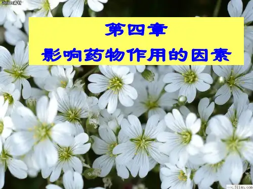 药物的不良反应  ppt课件